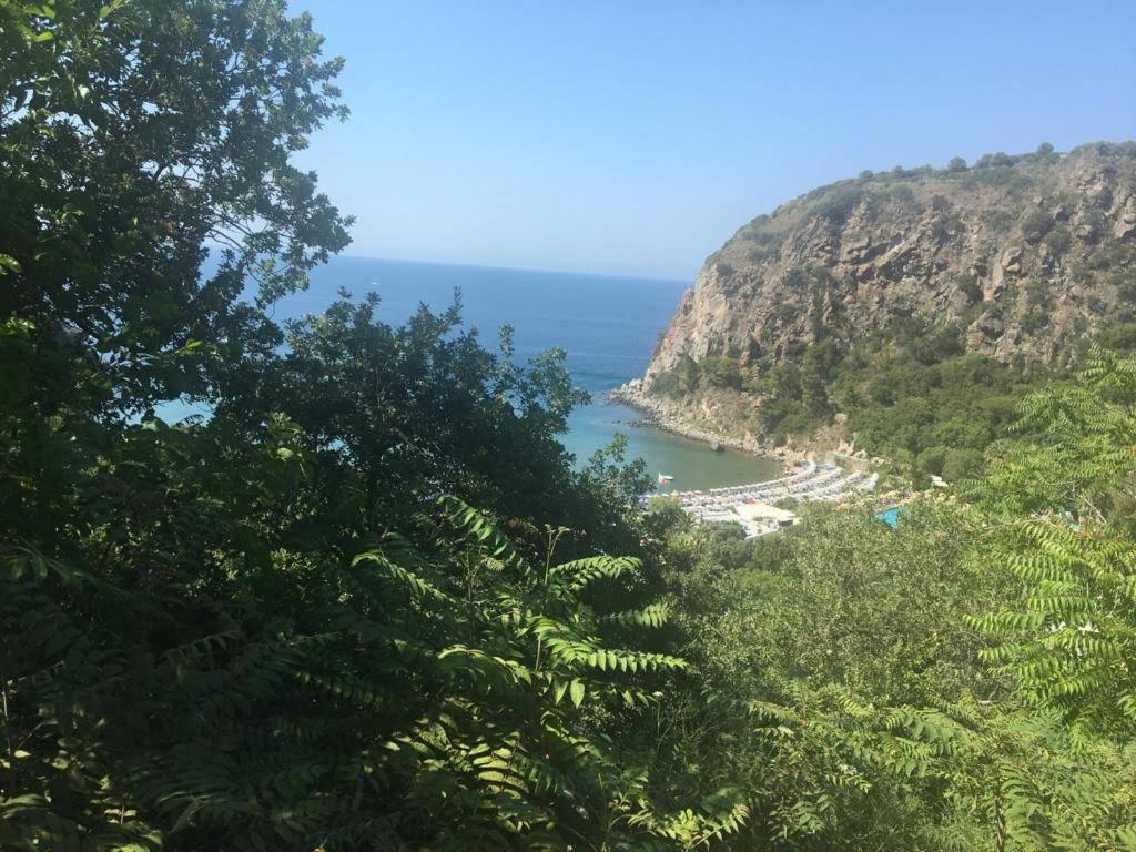 Ambra....appartamento Rosso Hébergement de vacances *